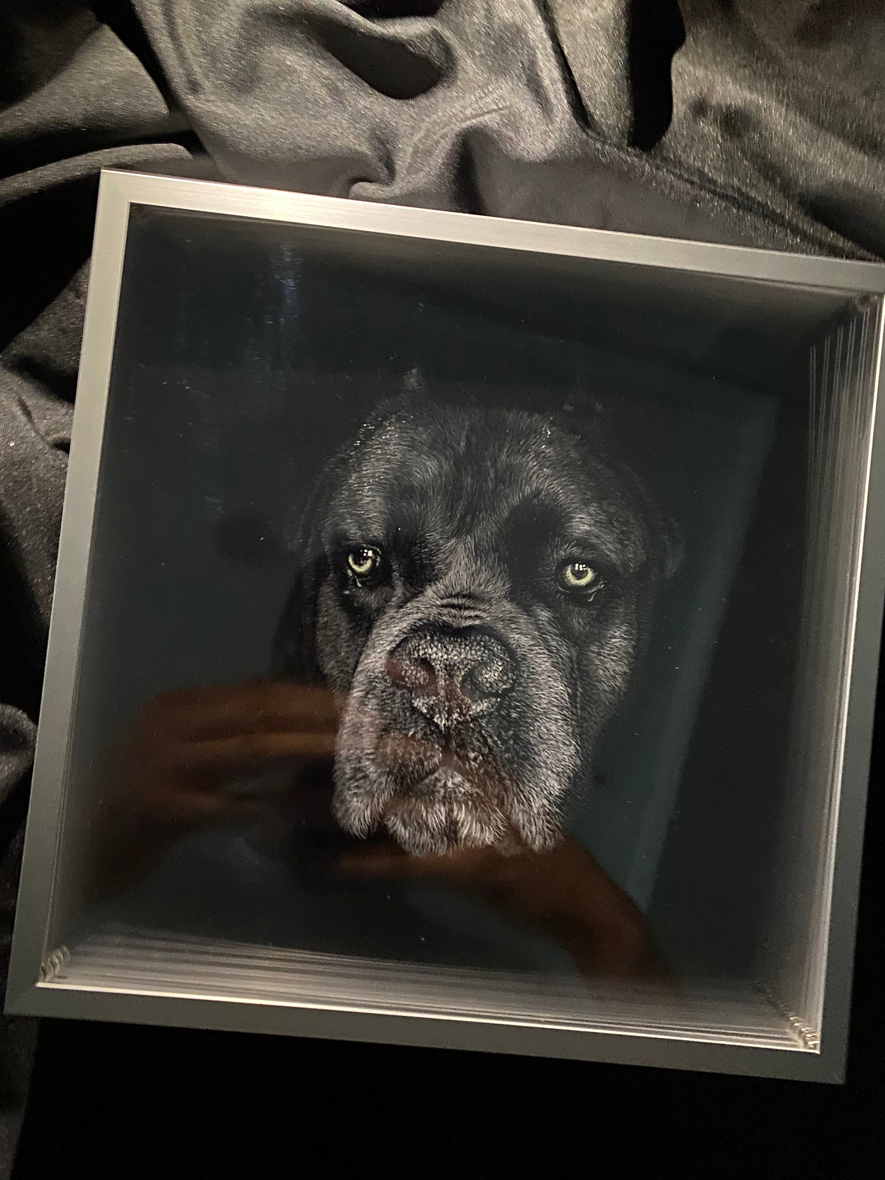 Custom 3D Pet Portrait - Handmade Layered Acrylic Art | Personalized Memorial Gift for Pet Lovers