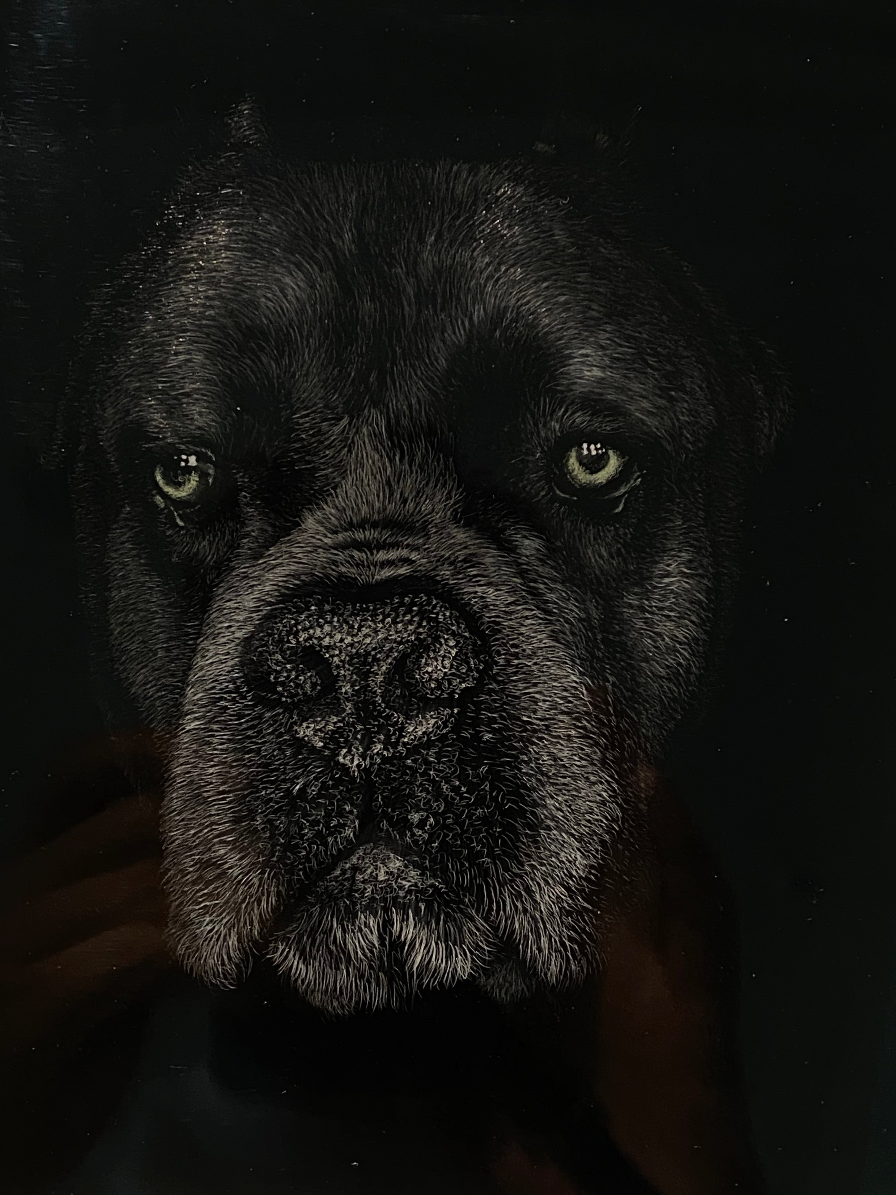 Custom 3D Pet Portrait - Handmade Layered Acrylic Art | Personalized Memorial Gift for Pet Lovers