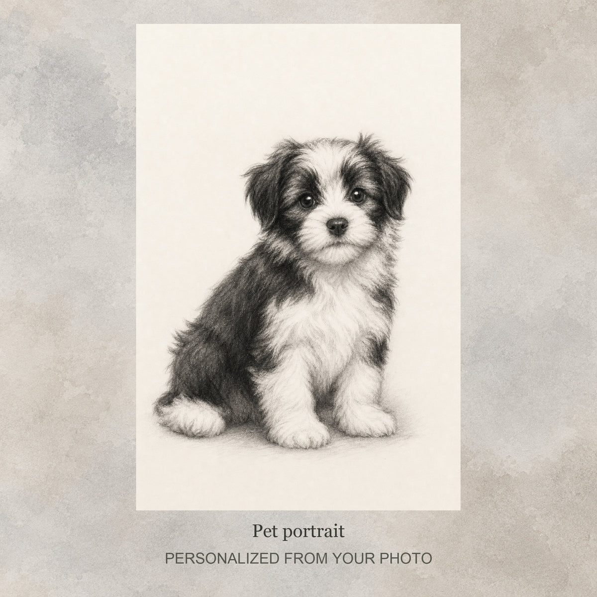 Custom Pet Charcoal Portrait | Hand-Drawn Dog & Cat Art from Photo — original drawing example on a flat soft greige textured graphic background; no frame shown