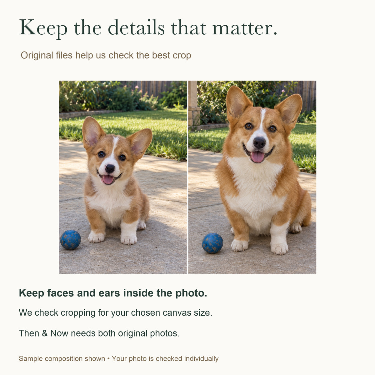 Then & Now Pet Memories — Personalized Pet Photo Canvas — Original-file and crop guidance; faces and ears kept visible — Image 8