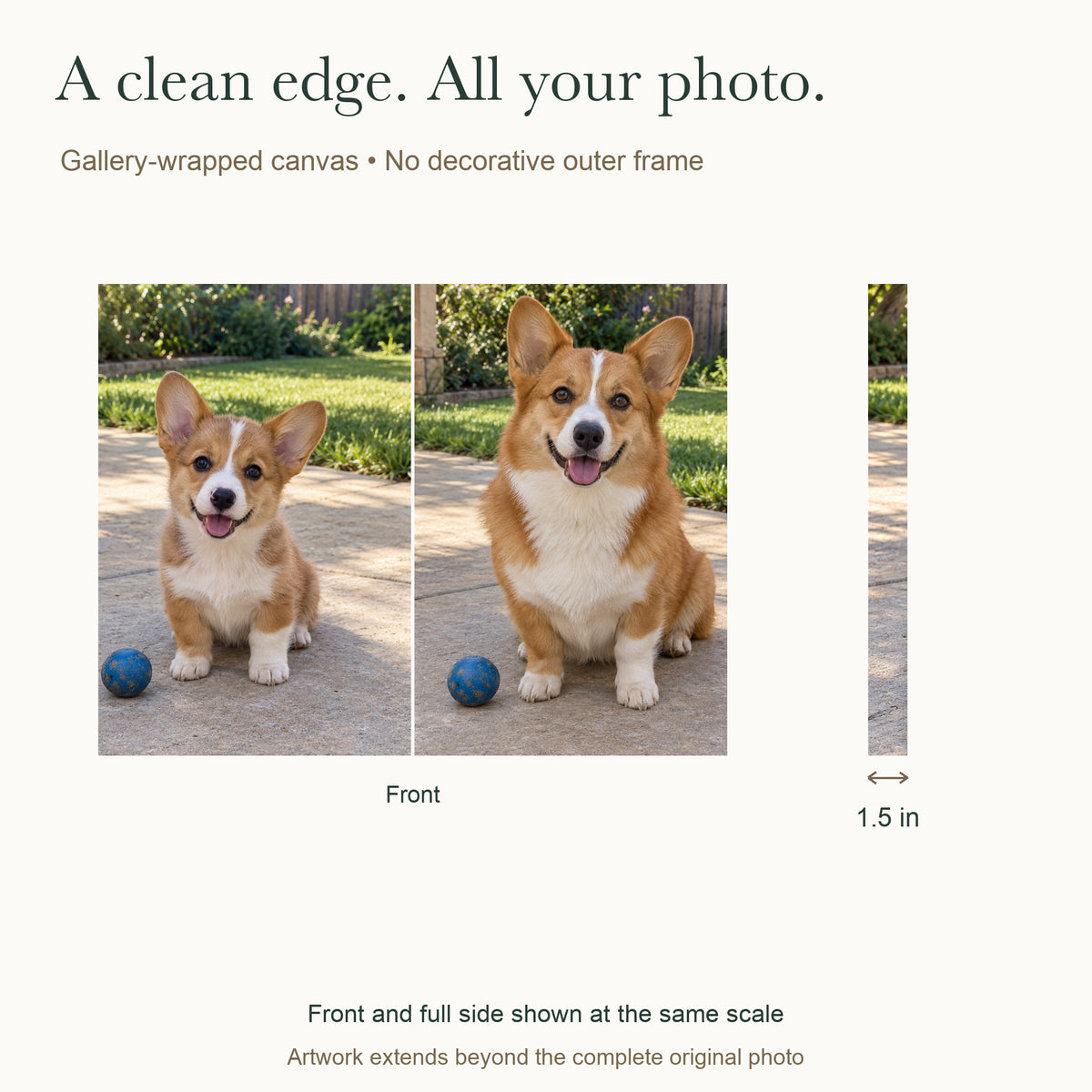 Then & Now Pet Memories — Personalized Pet Photo Canvas — Complete front and side at the same scale, 1.5 inch depth — Image 4