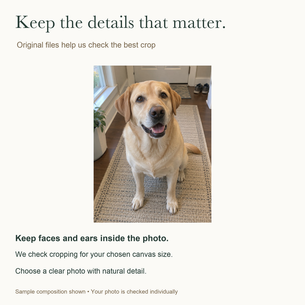 My Favorite Hello — Personalized Dog Photo Canvas — Original-file and crop guidance; faces and ears kept visible — Image 8