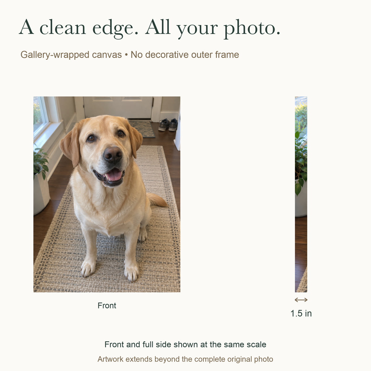 My Favorite Hello — Personalized Dog Photo Canvas — Complete front and side at the same scale, 1.5 inch depth — Image 4