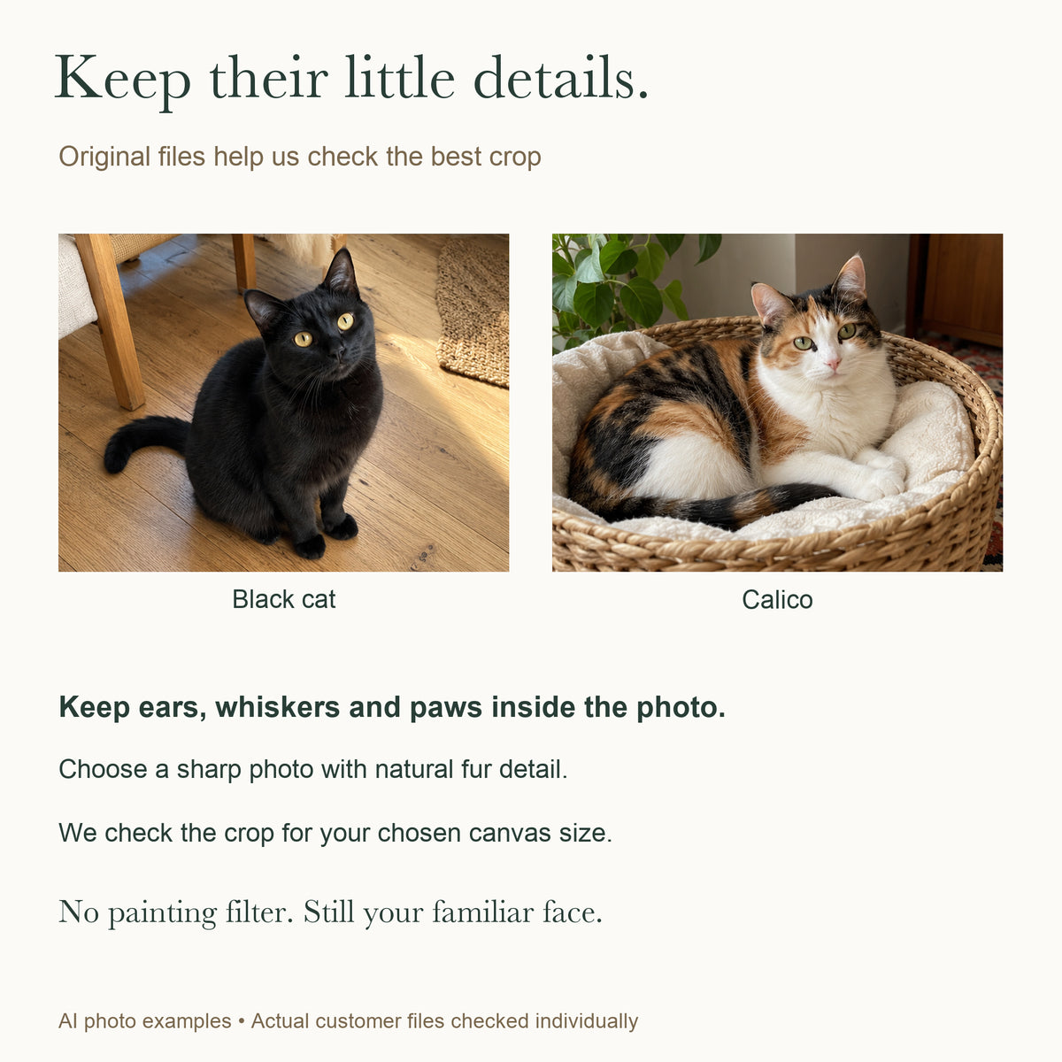 Your Favorite Little Roommate — Custom Cat Photo Canvas — Black and calico cat original-file and crop guidance — Image 8