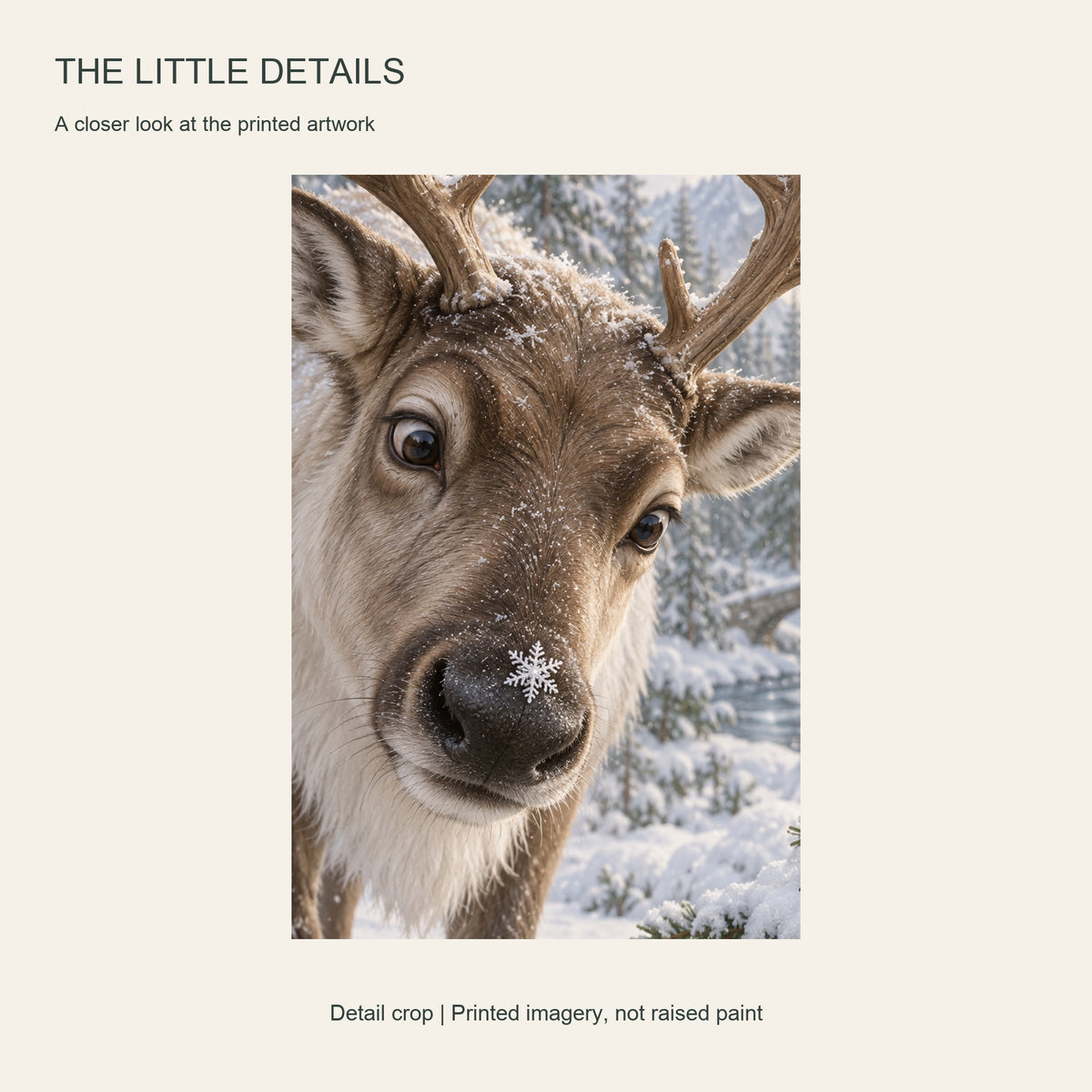 Snowflake on the Nose — Christmas Portrait Canvas Wall Art, Single, Unframed — Artwork detail