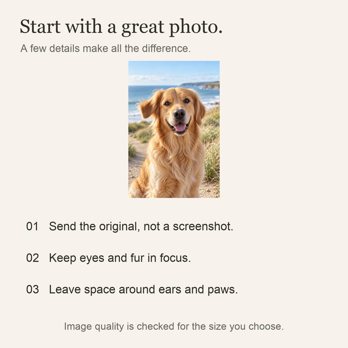 Personalized Pet Photo Canvas — Your Photo, Printed in the USA — Original photo submission guidance — Image 9