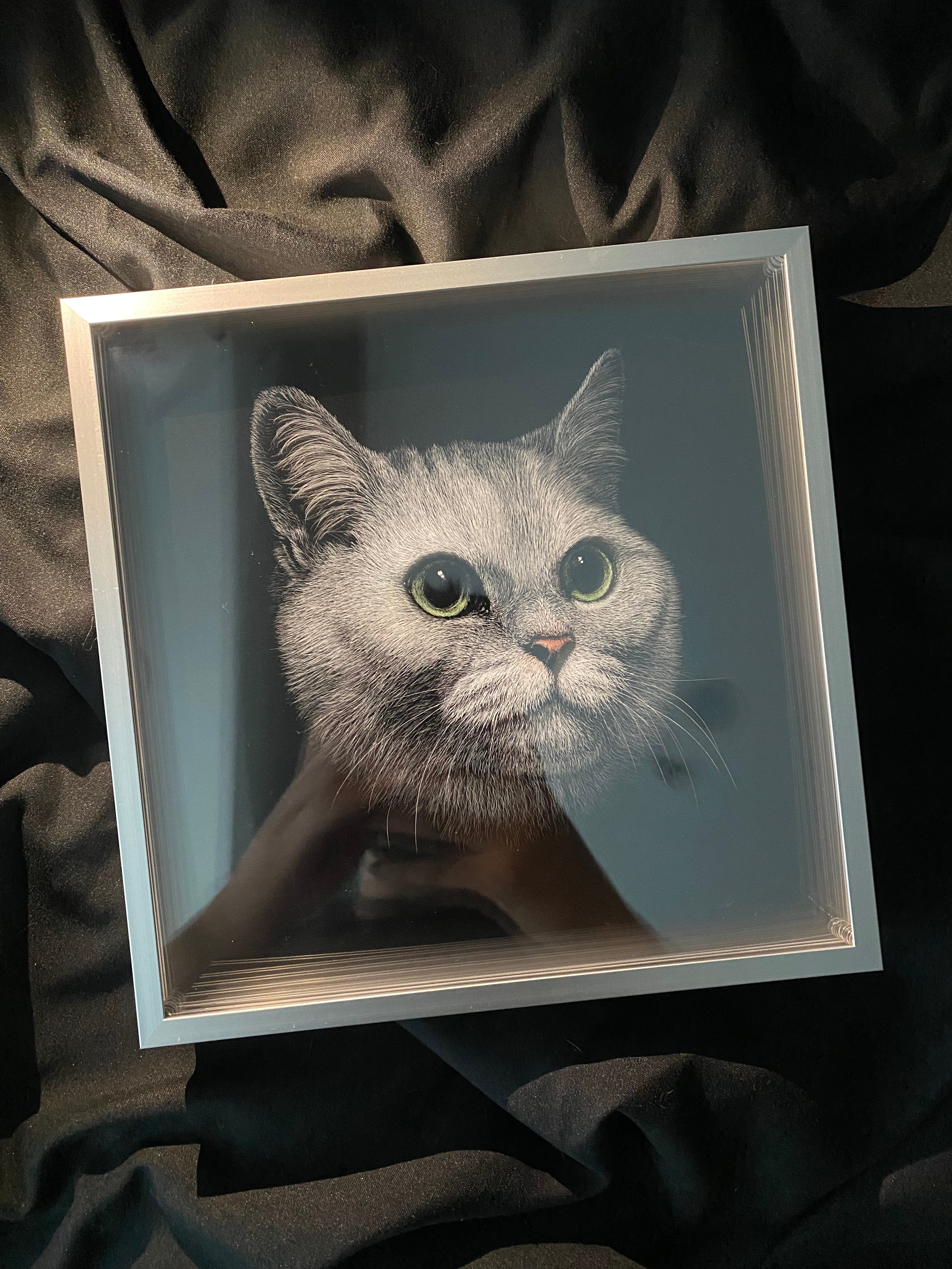 Custom 3D Pet Portrait - Handmade Layered Acrylic Art | Personalized Memorial Gift for Pet Lovers