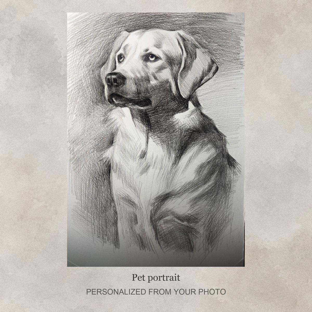 Custom Pet Pencil Sketch Portrait | Hand-Drawn Dog & Cat Art from Your Photo — original drawing example on a flat soft greige textured graphic background; no frame shown