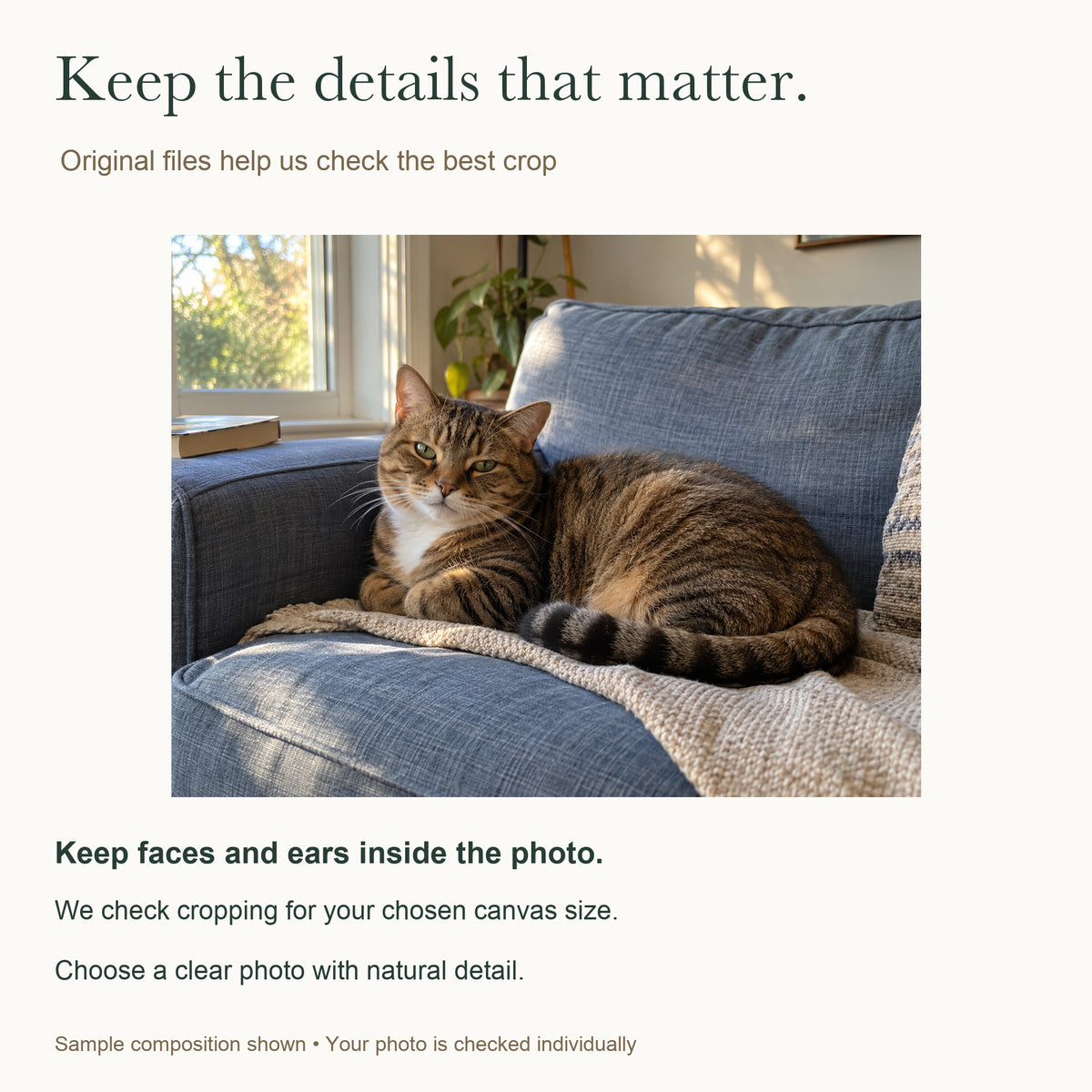 Everyday Pet Moments — Personalized Pet Photo Canvas — Original-file and crop guidance; faces and ears kept visible — Image 8