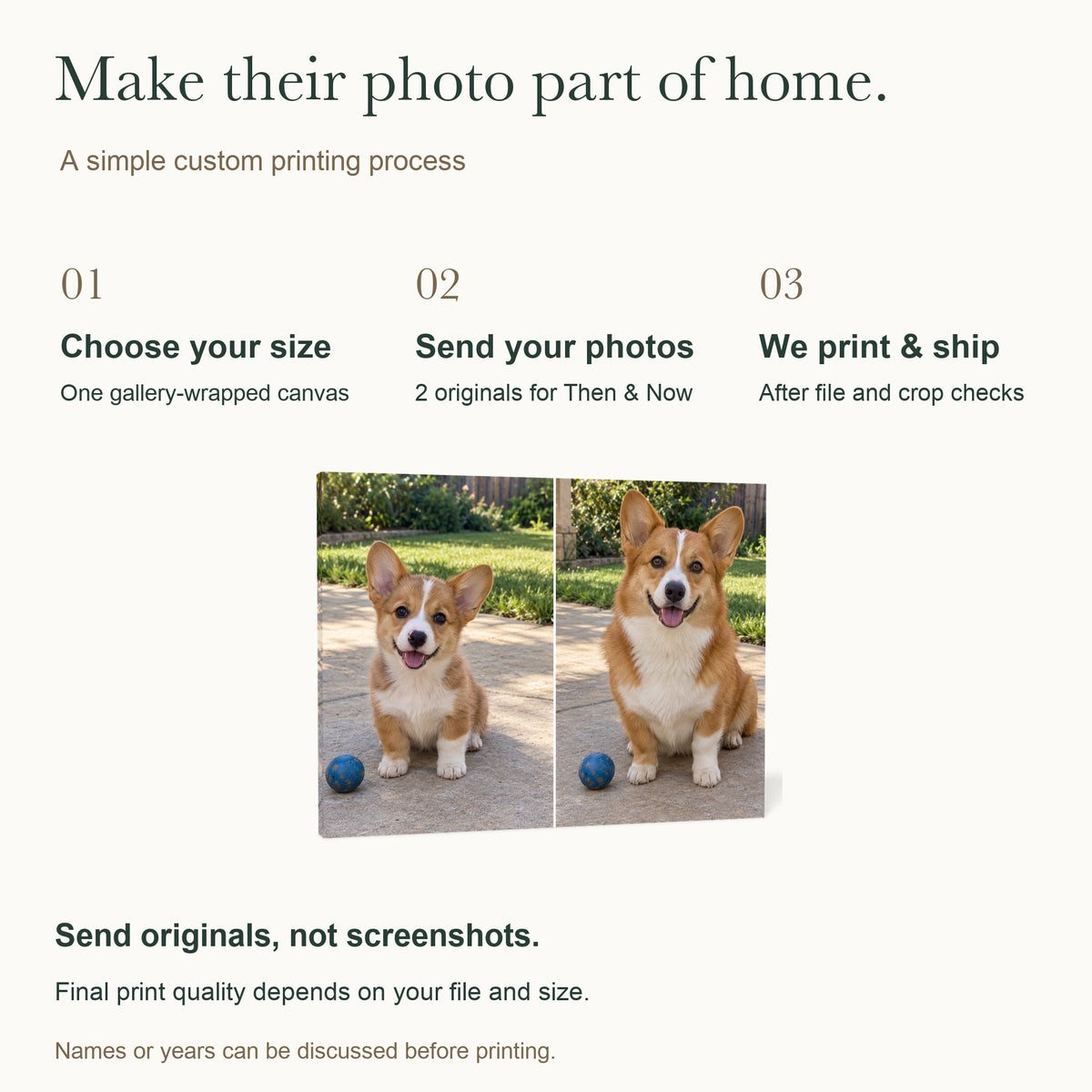 Then & Now Pet Memories — Personalized Pet Photo Canvas — How to customize; 2 original photos required — Image 5