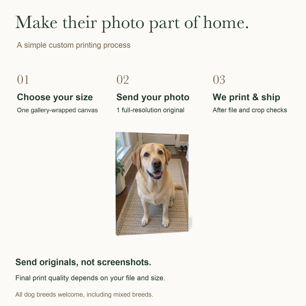 My Favorite Hello — Personalized Dog Photo Canvas — How to customize; 1 original photo required — Image 5