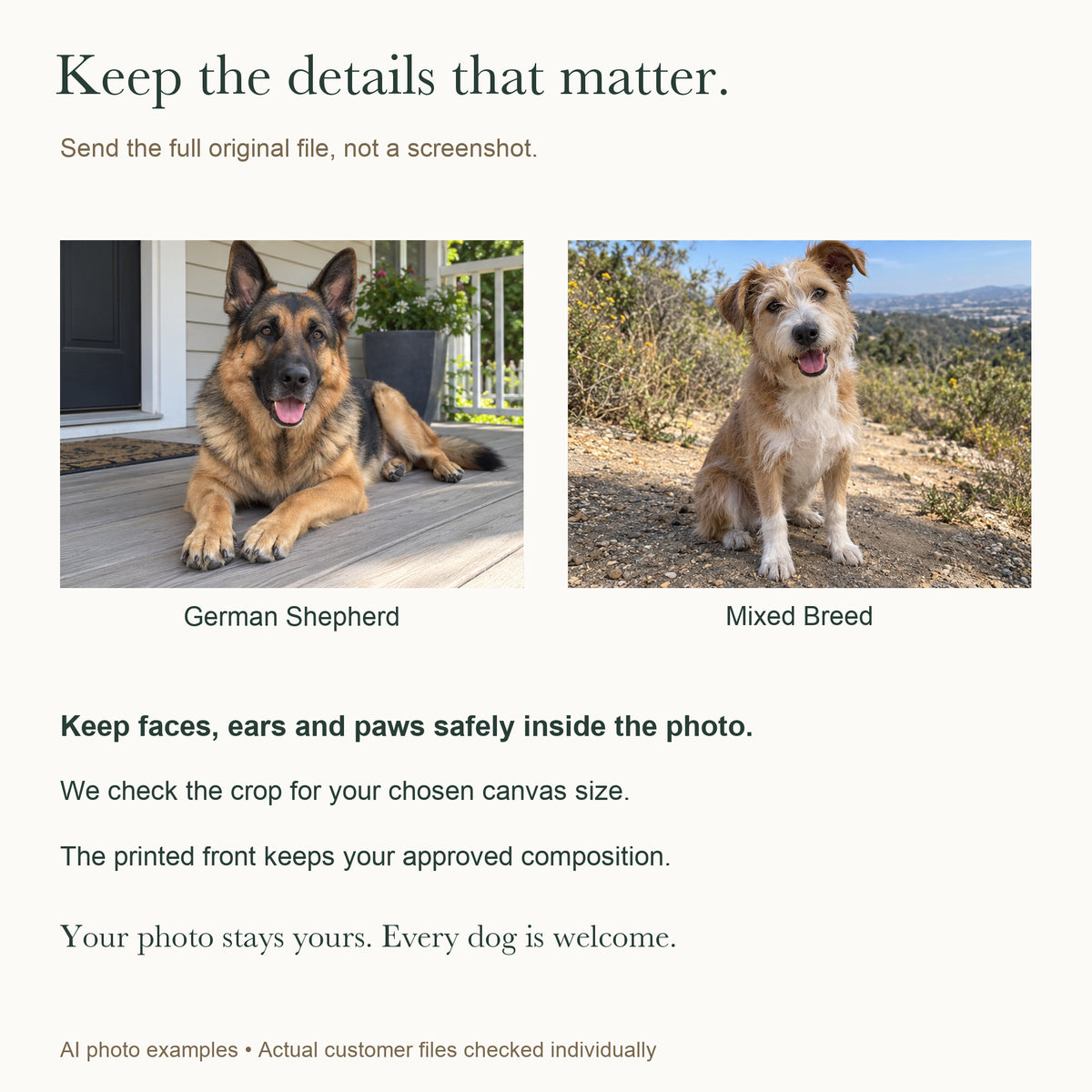 Little Legs, Big Love — Custom Dog Photo Canvas — German Shepherd and mixed-breed original-photo guidance — Image 8