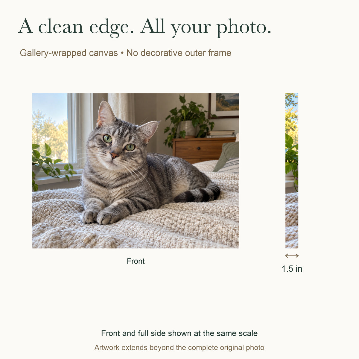 Your Favorite Little Roommate — Custom Cat Photo Canvas — Complete front and continuous outside-left wrap, 1.5 inch depth — Image 4