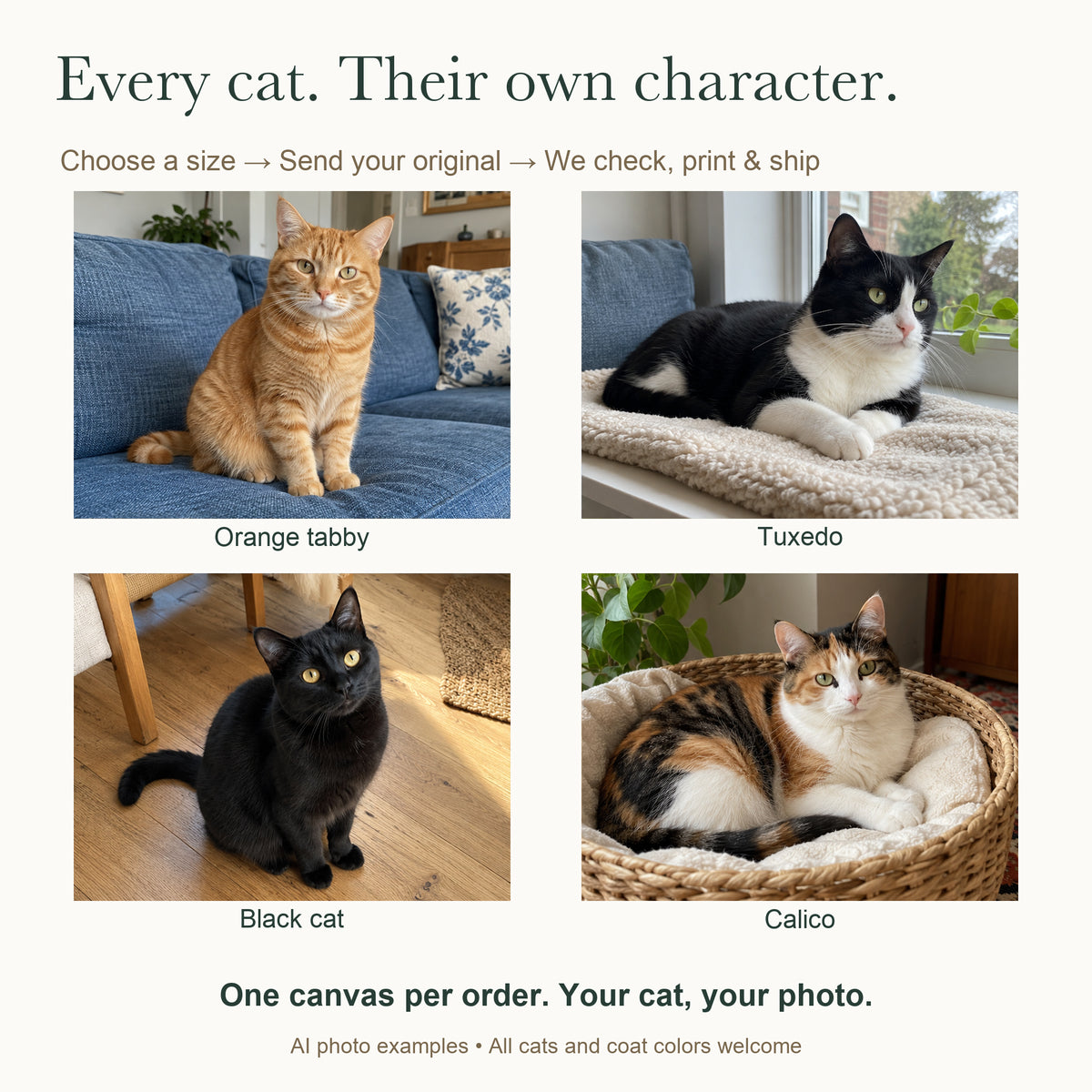 Your Favorite Little Roommate — Custom Cat Photo Canvas — Orange tabby, tuxedo, black and calico photo examples, one canvas per order — Image 5