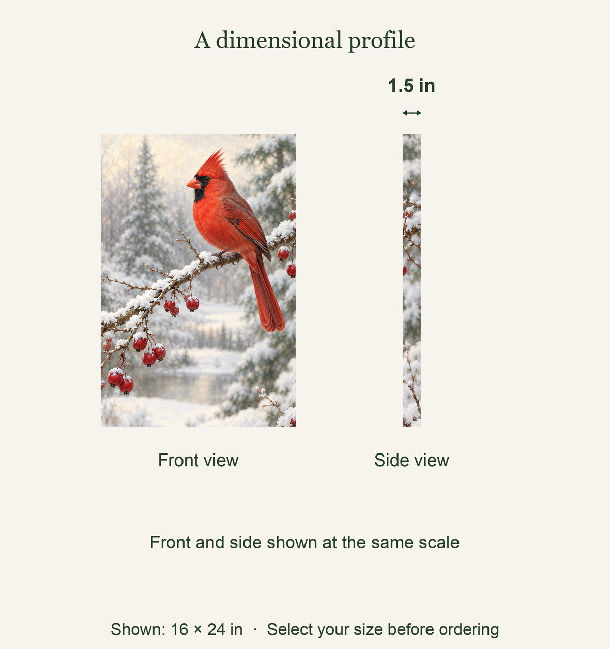 1.5 inch canvas depth; 16 by24 inch example: Winter Visitor Cardinal Canvas Wall Art