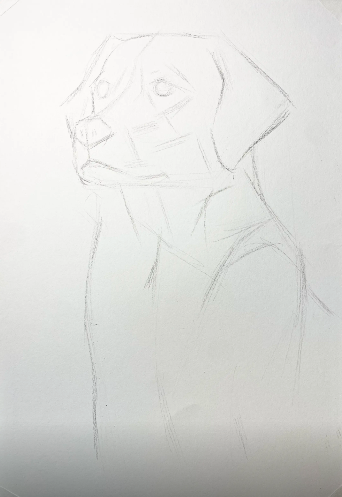 Custom hand-drawn pet pencil and charcoal sketch portrait from photo — dog portrait — image 5