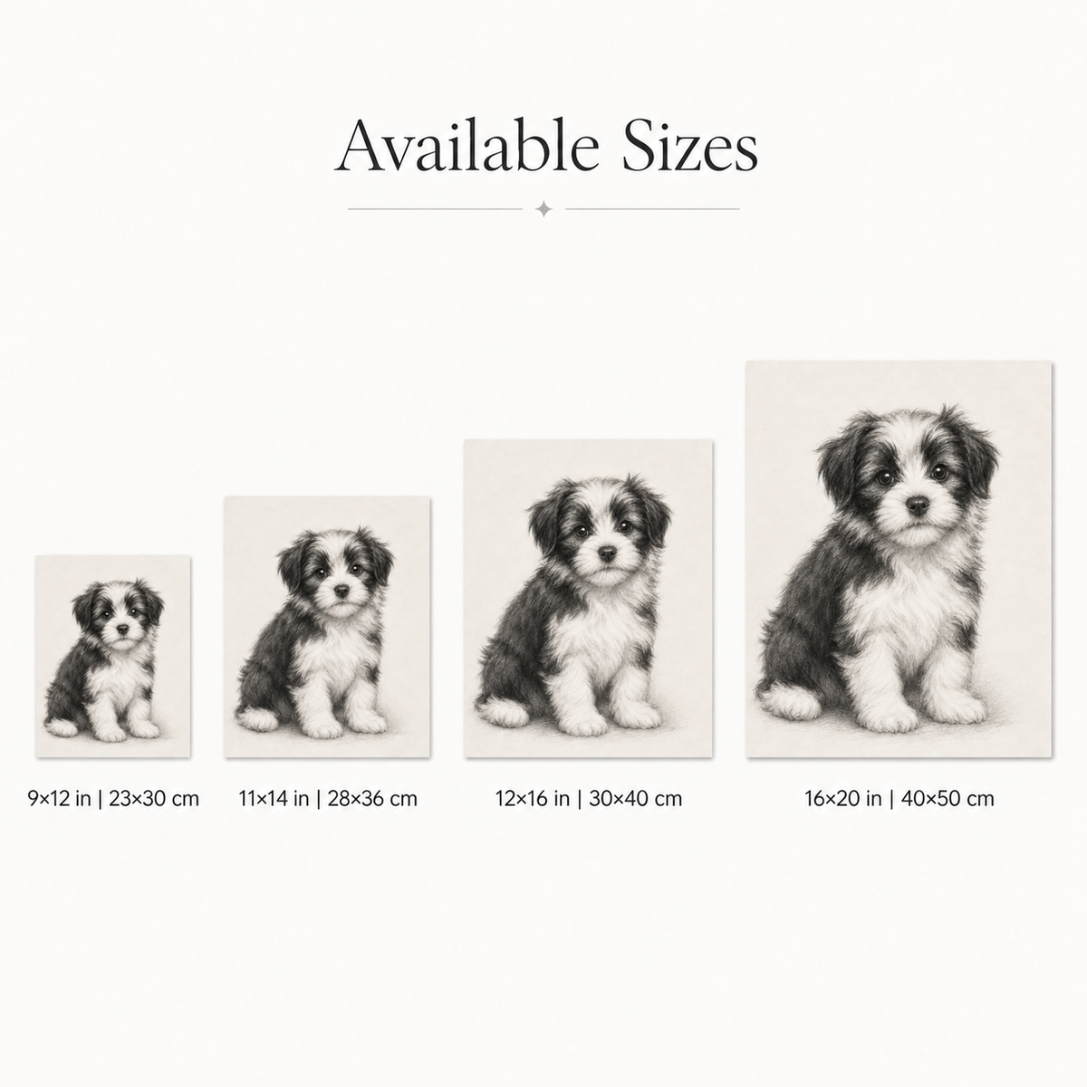 Pet portrait size guide: 9x12, 11x14, 12x16, and 16x20 inches